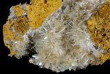 Hemimorphite Crystal Cluster - Chihuahua, Mexico #127513-1